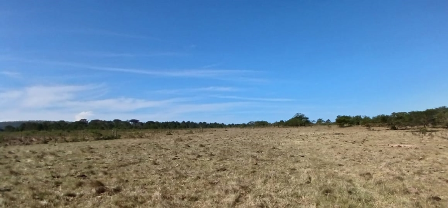 Commercial Property for Sale in Bathurst Rural Eastern Cape